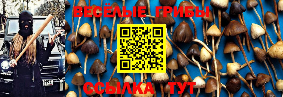 Галлюциногенные грибы Cubensis Усинск