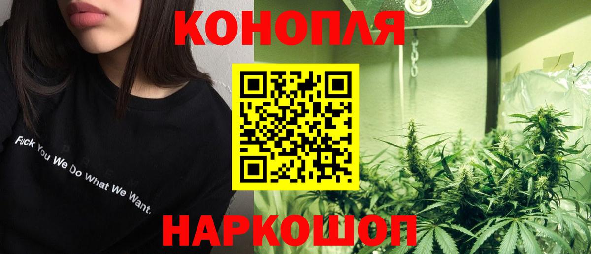 Каннабис гибрид Усинск